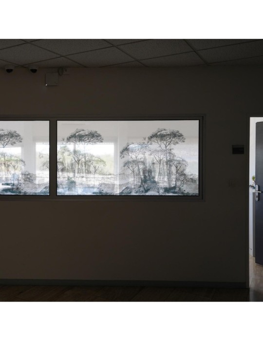 LINPRINT - Film PET tissé adhésivé imprimable